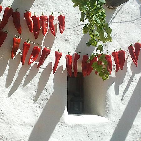 Hotel Rural Cortijo La Alberca Níjar Exteriér fotografie